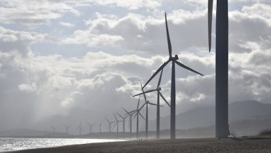 Yenilenebilir Enerjiye Yolculuk: Güneş ve Rüzgar Enerjisi Sektöründe İnovasyonların İzinde